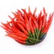 Hint Biberi (Zehir Acı) 1 KG